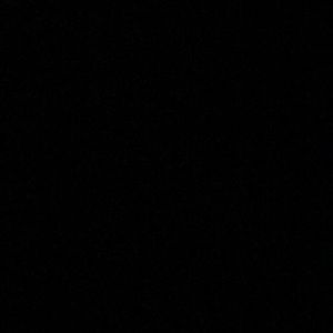 Meet your Posher, Brynn